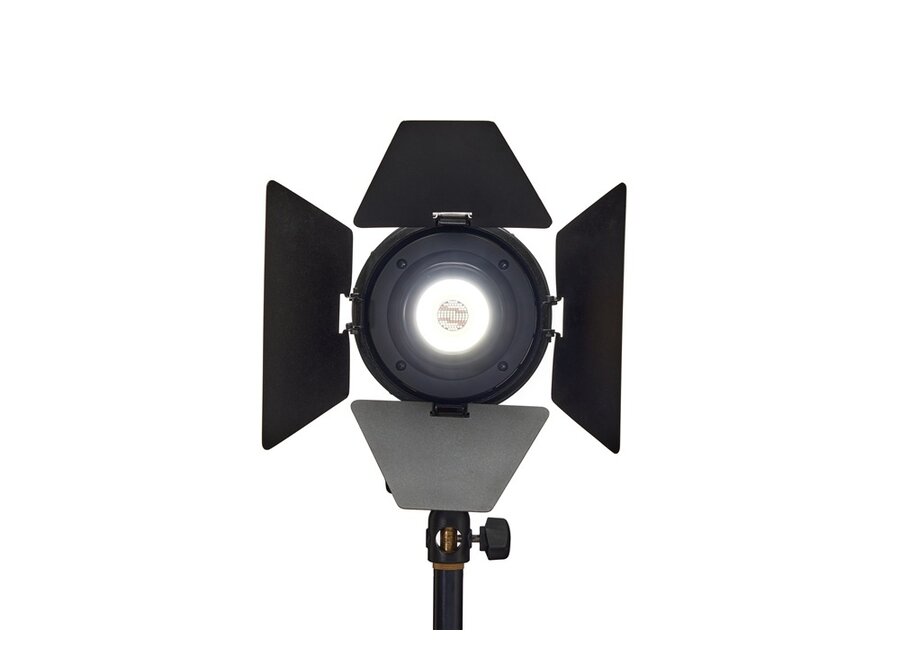 Elinchrom LED 100 C LED Light Dual Kit