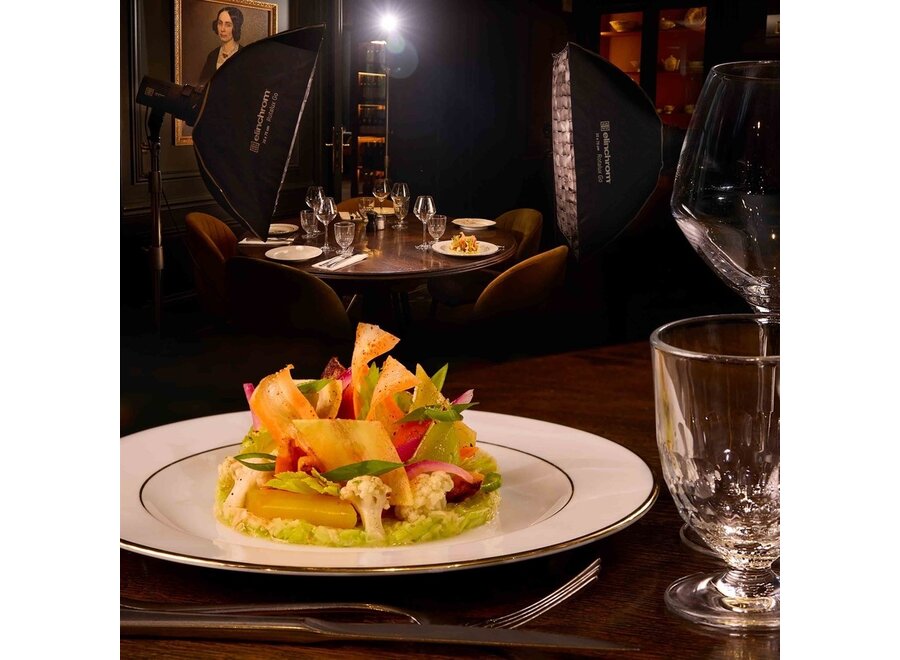 Elinchrom LED 100 C LED Light Dual Kit