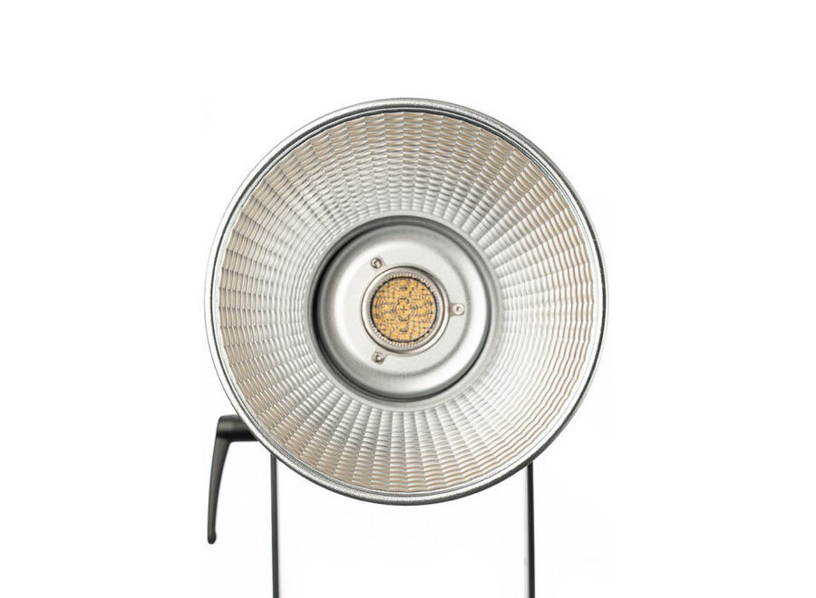 Aputure Light Storm LS C300X Bi-color Kit with V-mount