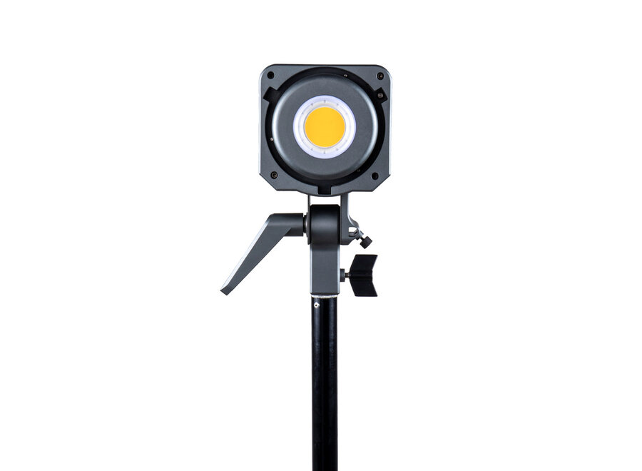 Amaran 200d Balanced Daylight LED Light