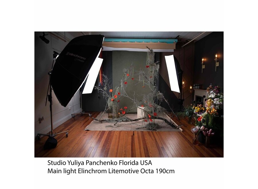 Elinchrom Indirect Litemotiv Octa 190 cm
