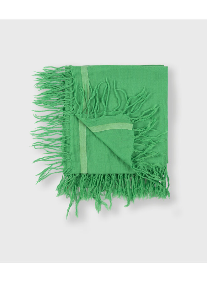 20-900-4201 Wool scarf - Apple green