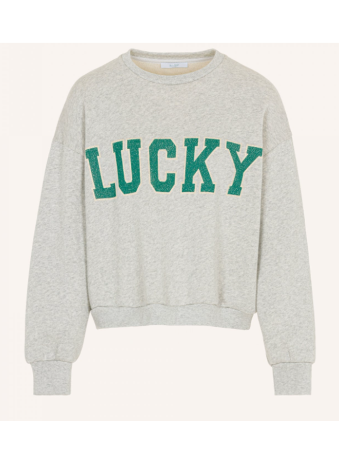 Bibi lucky vintage sweater - Light grey melee