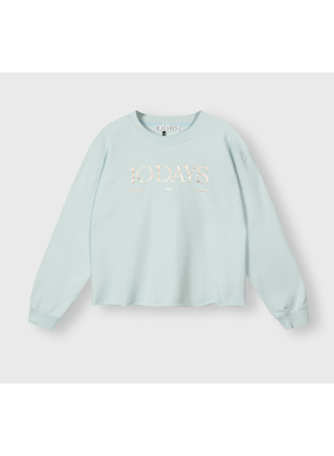 20-817-4201 Raw edge logo sweater - Sea foam