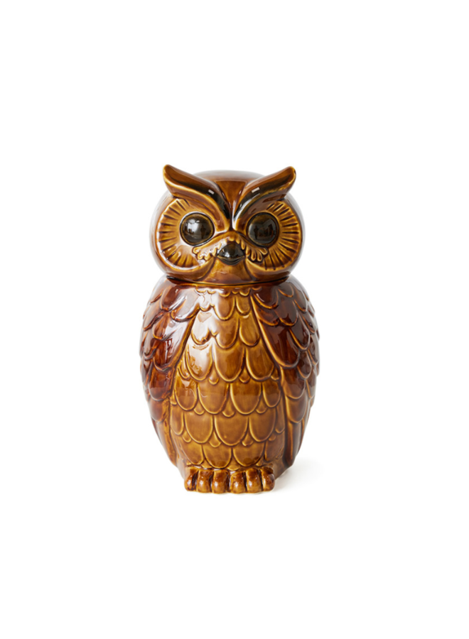 Ceramic owl jar roasted