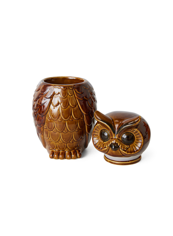 Ceramic owl jar roasted