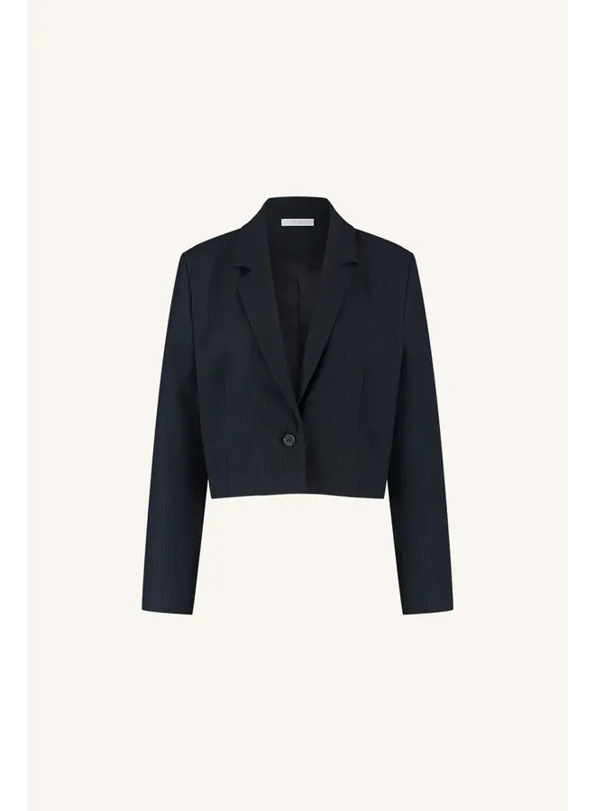 Jody stripe blazer - Dark navy