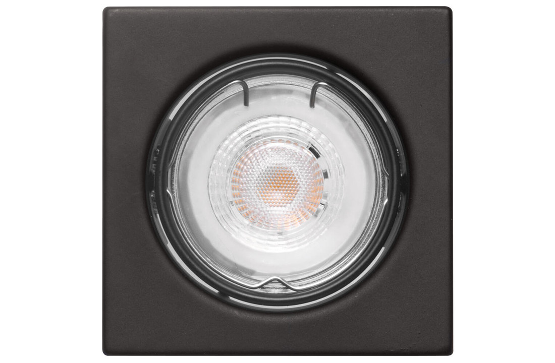 LED Spot Roan - Dimbaar - Philips - Mat Zwart