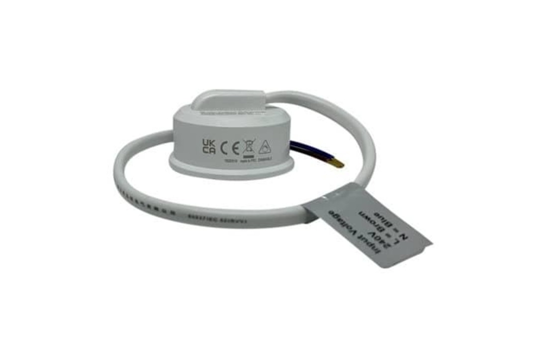 LED Spot Raya - Dimbaar - 38MM Inbouwdiepte
