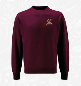 Banner Ballymagee Primary Sweatshirt (3SR)