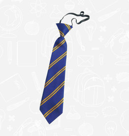 William Turner Belmont Primary Elasticated Tie (DS128EL)  Royal & Gold