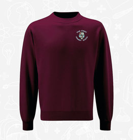 Banner Fane Street Primary Sweatshirt (TSW2)