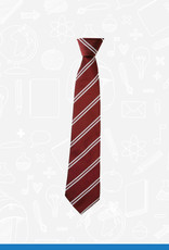 William Turner St James's Primary Elasticated Tie (DS124EL)
