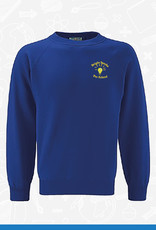 Banner Bright Sparks PreSchool Sweatshirt (TSW2)