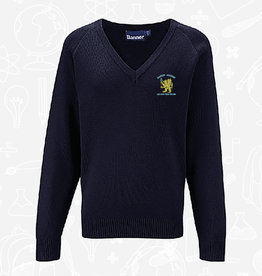 Banner Bangor Academy 1st - 5th Form  V-Neck Sweater (1WP)