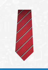 TSW Ties Carryduff Primary School Tie (7453)