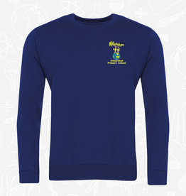 Banner Millennium Primary Sweatshirt (3SD)