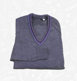 MagicFit Cedar Lodge Y11-12 V-Neck Jumper