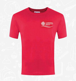 Banner Cairnshill IPS PE T Shirt (3TC)
