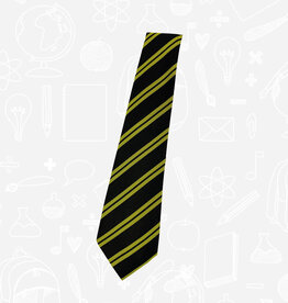 William Turner Holywood PS 45" School Tie