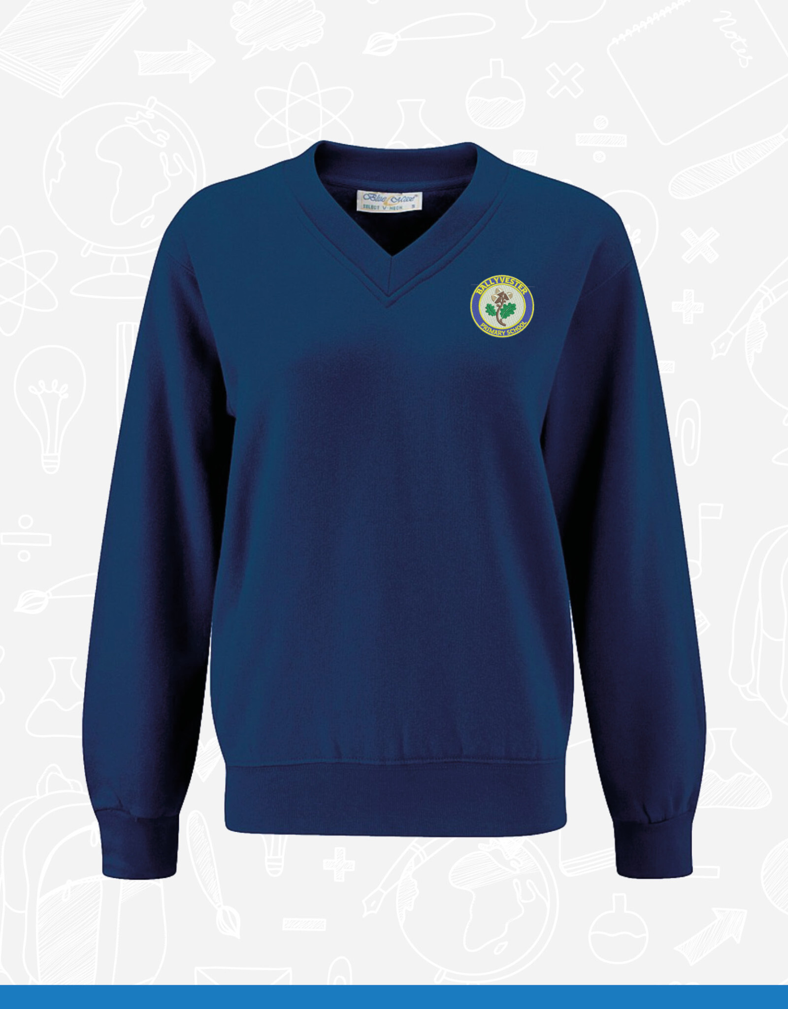 Banner Ballyvester Primary V-Neck (3SV)