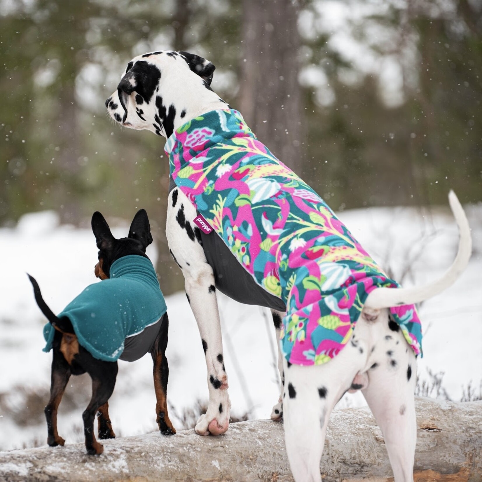 Pomppa Pomppa Jumppa season colors