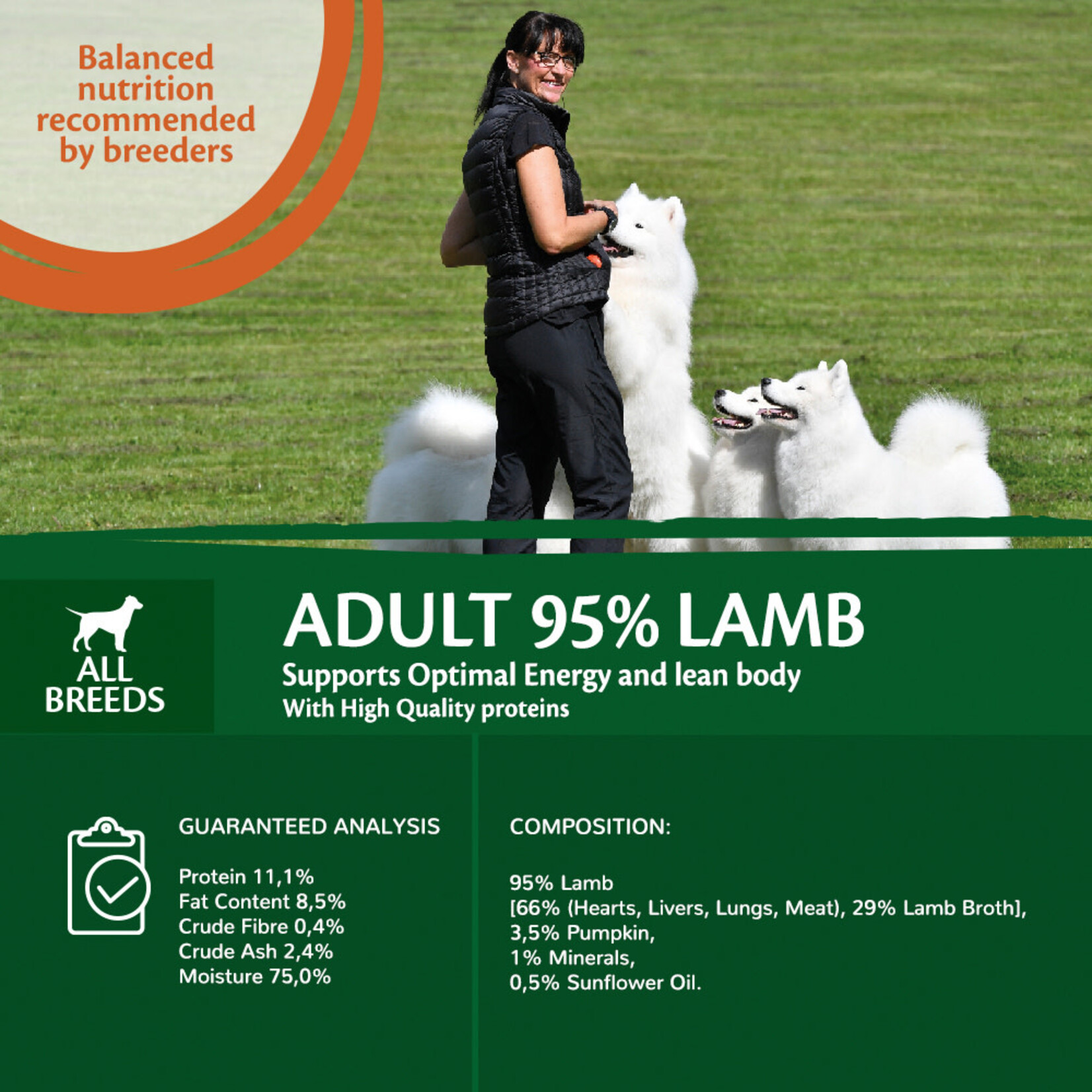 Wellness Core Wellness Core meat - lam - blik 400 gr