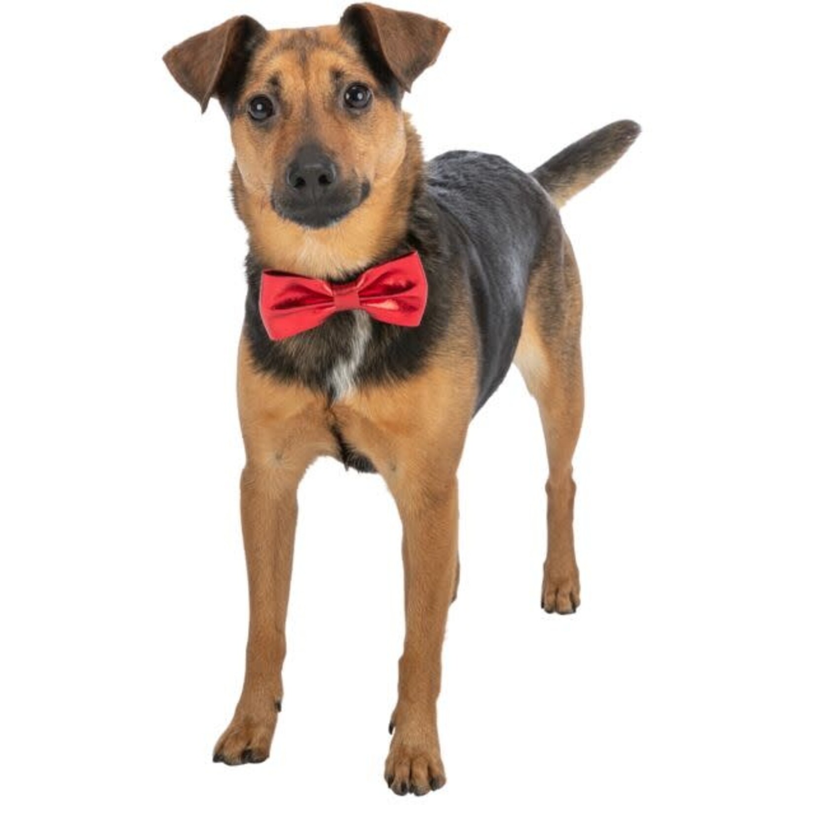 Trixie Kerststrik 10 cm - 92524