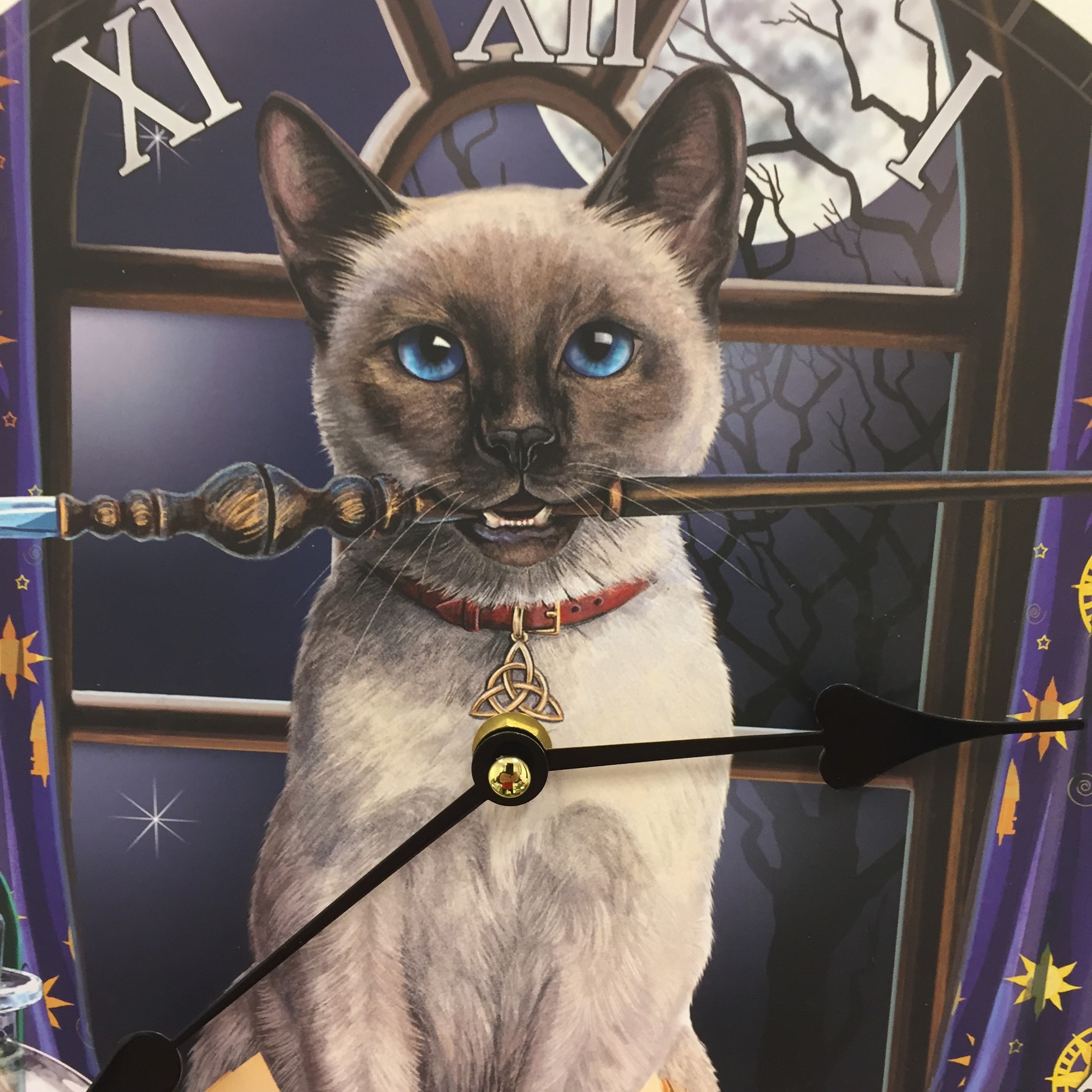 Saramax Wandklok MAGIC CAT voor kinderen
