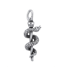 hanger zilver  Esculaap staf