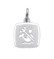 Sterrenbeeld Waterman