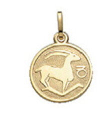 Sterrenbeeld Steenbok