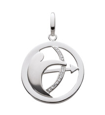 Sterrenbeeld Boogschutter