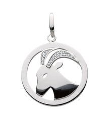 Sterrenbeeld Steenbok