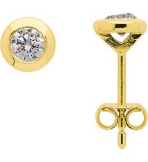 Oorknopjes met Zirkonia