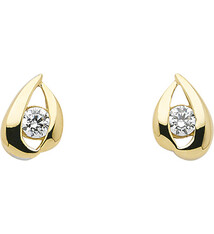 Oorknopjes met Zirkonia