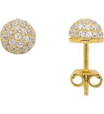 Oorknopjes met Zirkonia