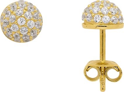 Oorknopjes met Zirkonia