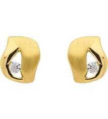 Oorknopjes met Zirkonia