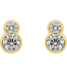 Oorknopjes met Zirkonia