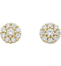 Oorknopjes met Zirkonia