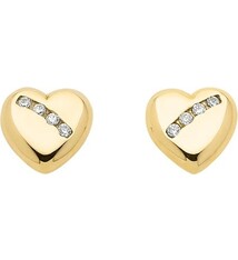 Oorknopjes met Zirkonia