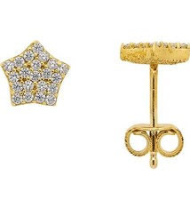 Oorknopjes met Zirkonia