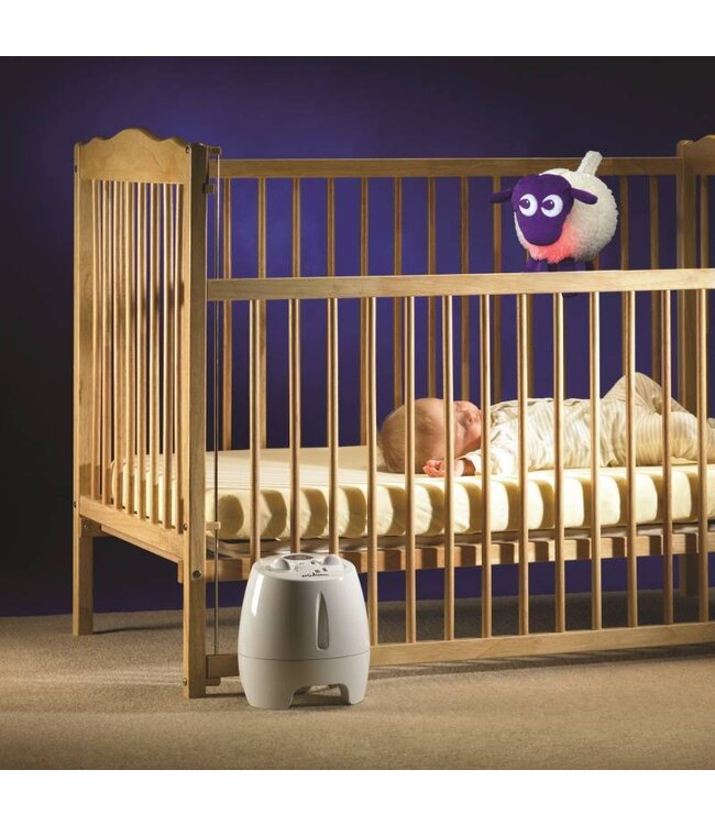 Ewan the dream sheep violett