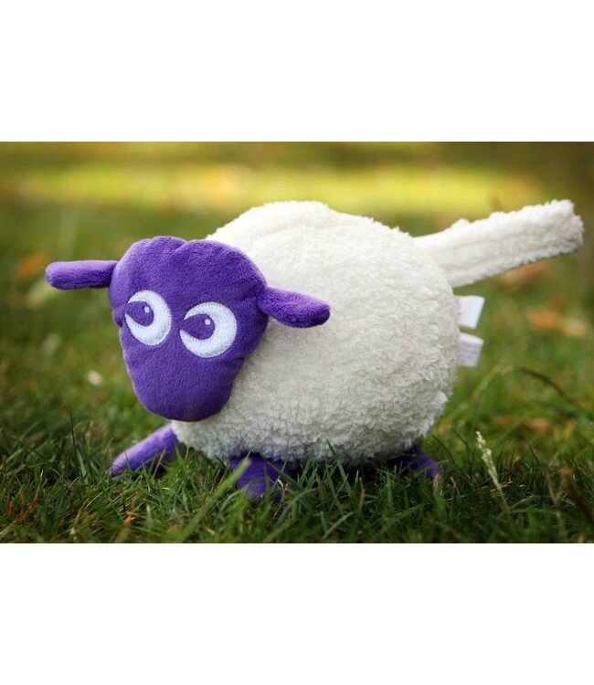 Ewan the dream sheep violett
