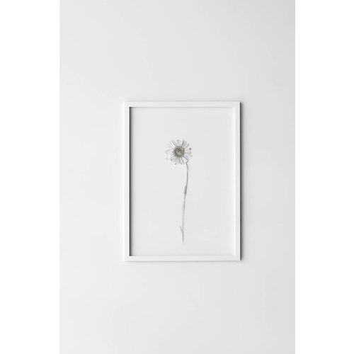 Moebe Frame A4 - wit Moebe Frame A4 - wit