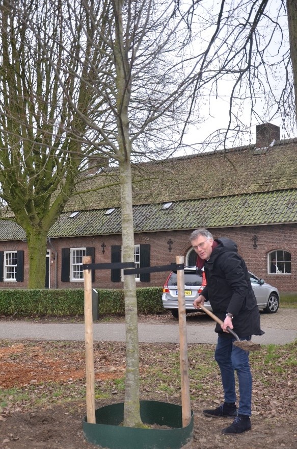 Saamhorigheid in coronatijd: plant een herdenkingsboom