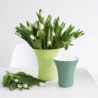 ASA Selection Vaso Vaas Appelgroen 17 cm