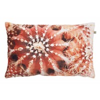 Dutch Decor Cabio Pillow