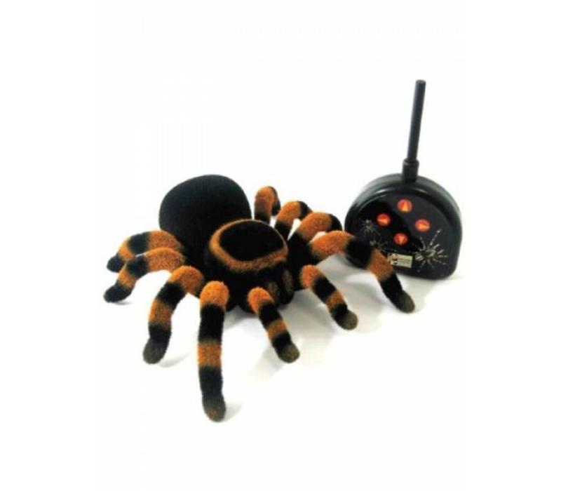 Buki Tarantula with remote control